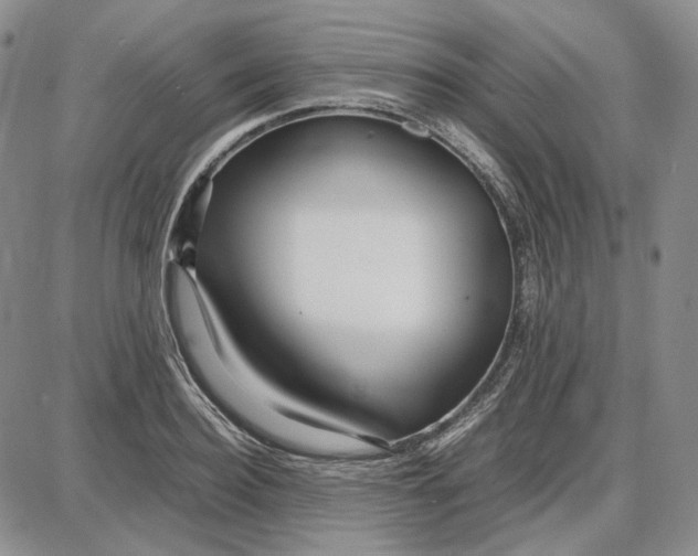 X0000087640940200705241236