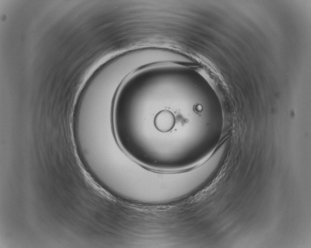 X0000087640942200705241236