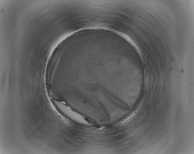 X0000087640943200705241236