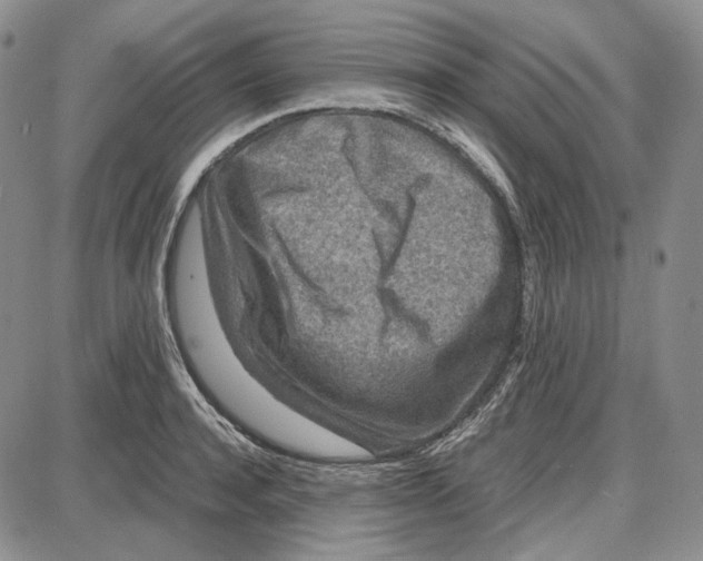 X0000087640944200705241236