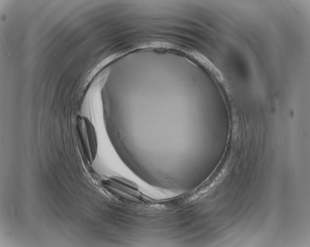 X0000087640945200705241236