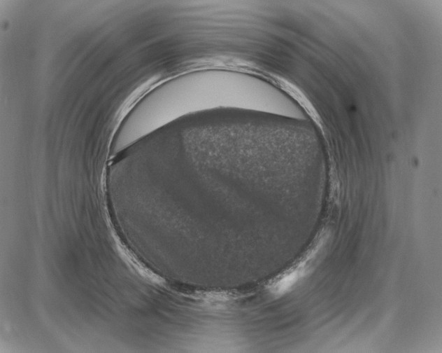 X0000087640946200705241236