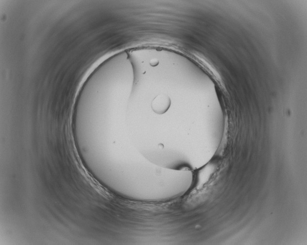 X0000087640948200705241236