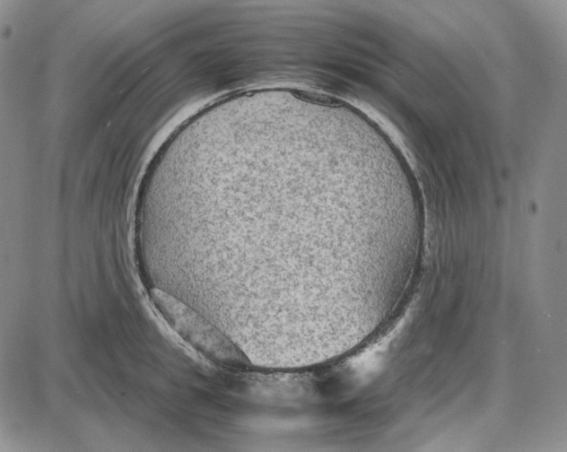 X0000087640949200705241236