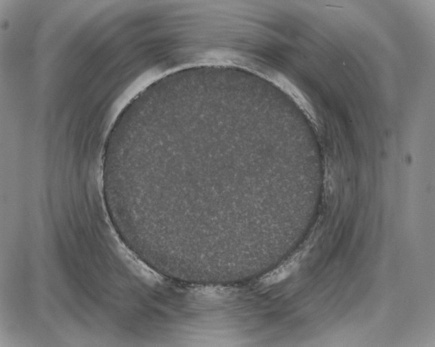 X0000087640950200705241236