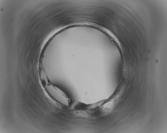 X0000087640951200705241236