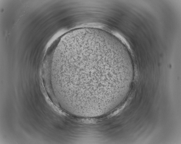 X0000087640952200705241236