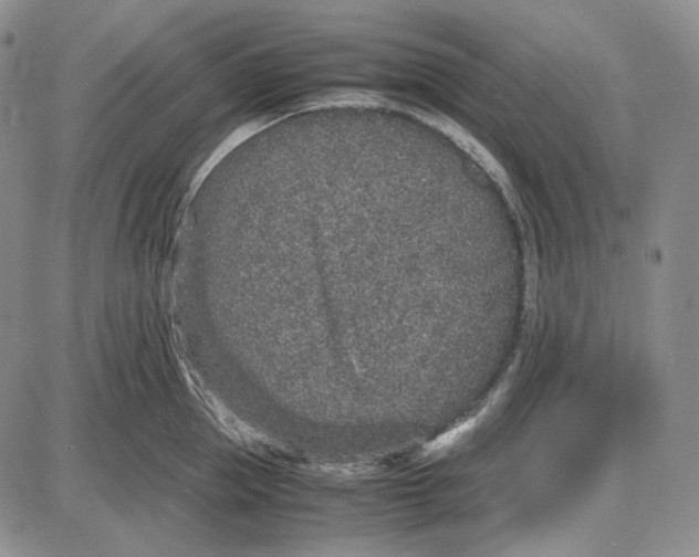 X0000087640953200705241236