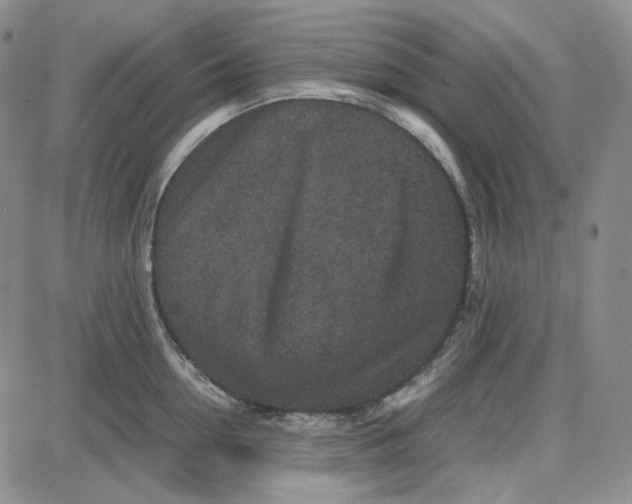 X0000087640954200705241236