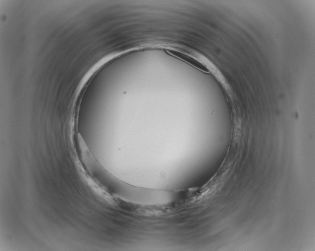 X0000087640955200705241236