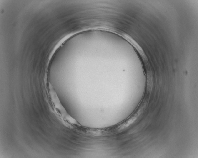 X0000087640956200705241236