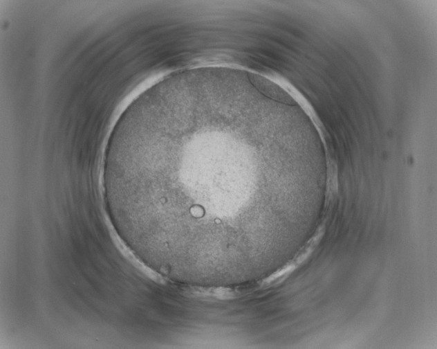 X0000087640957200705241236