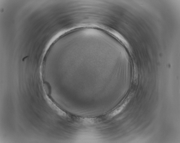 X0000087640958200705241236