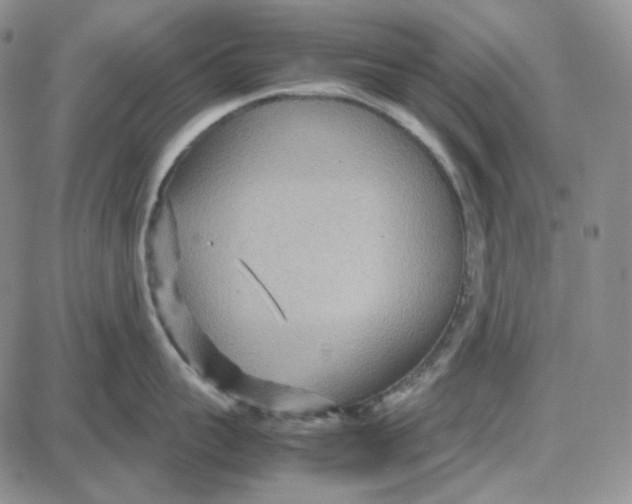 X0000087640959200705241236