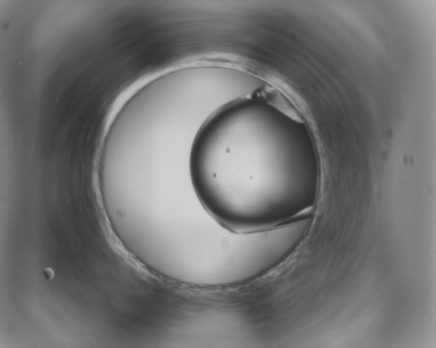 X0000087640960200705241236