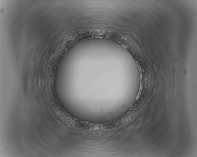 X0000087640961200705241236