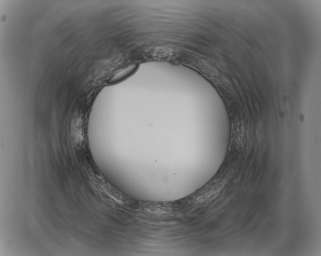 X0000087640962200705241236