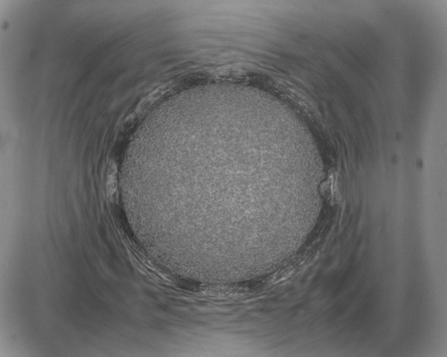 X0000087640963200705241236