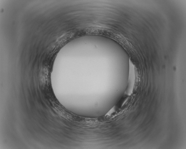 X0000087640964200705241236