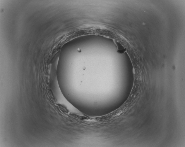 X0000087640965200705241236