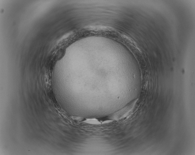 X0000087640966200705241236