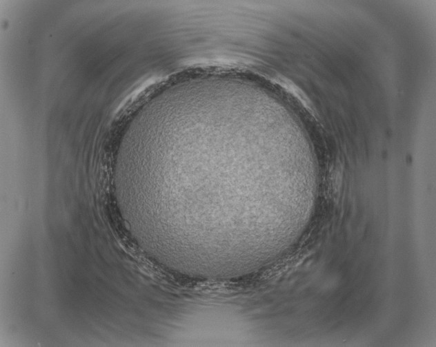 X0000087640967200705241236