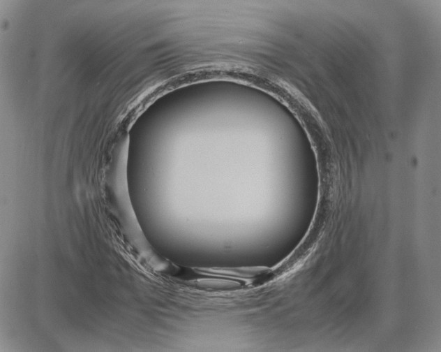 X0000087640969200705241236