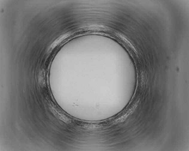 X0000087640970200705241236