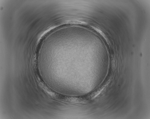 X0000087640971200705241235