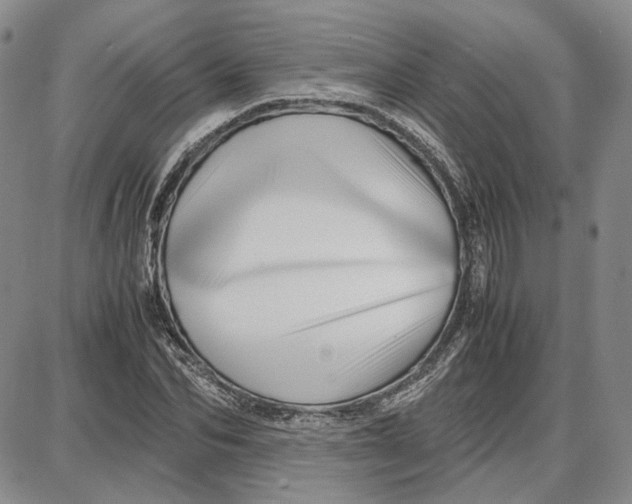 X0000087640974200705241235