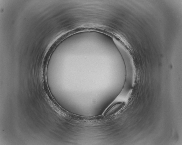 X0000087640976200705241235