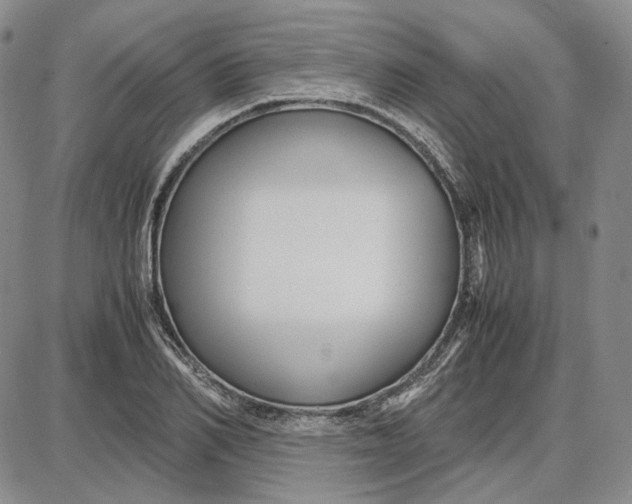 X0000087640982200705241235