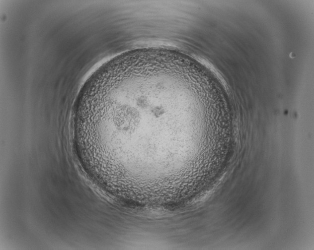 X0000087640983200705241235