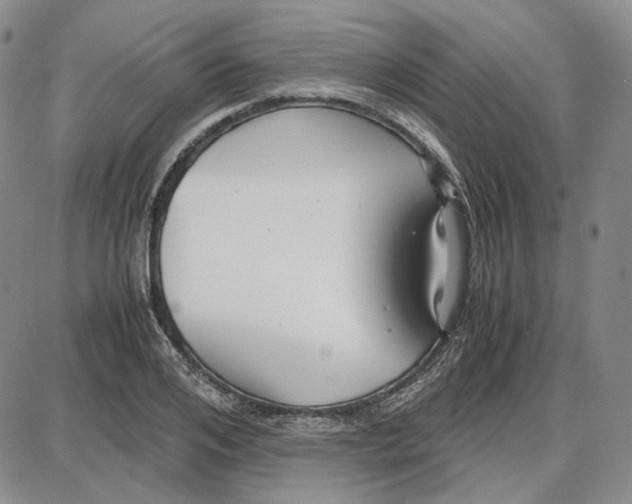 X0000087640984200705241235