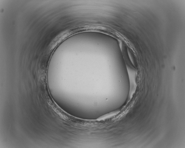 X0000087640985200705241235