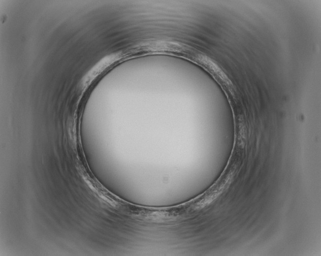 X0000087640986200705241235