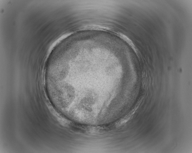 X0000087640987200705241235