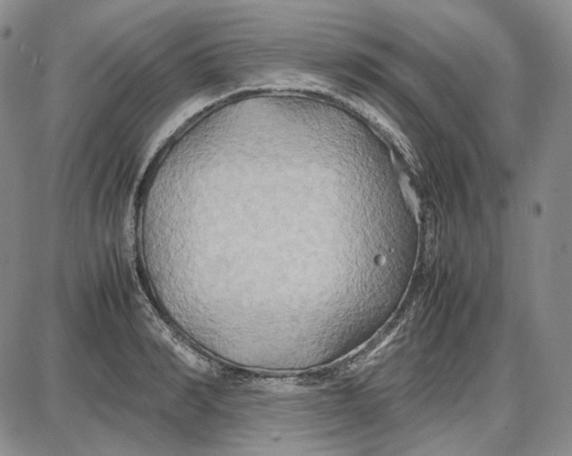 X0000087640990200705241235