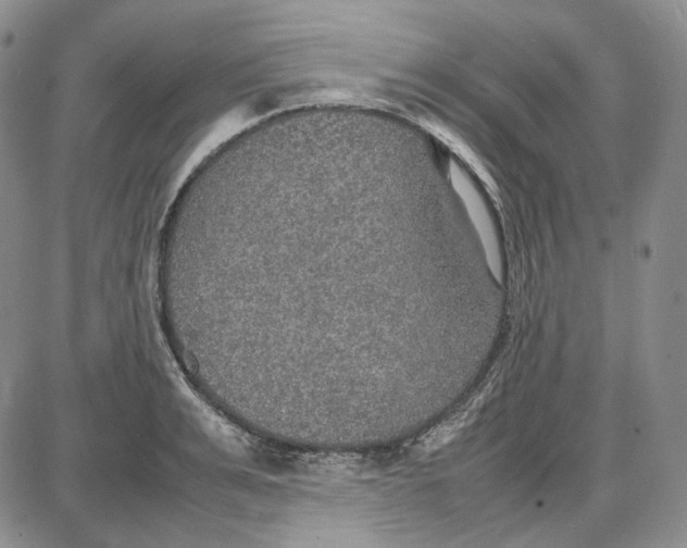 X0000087640991200705241235