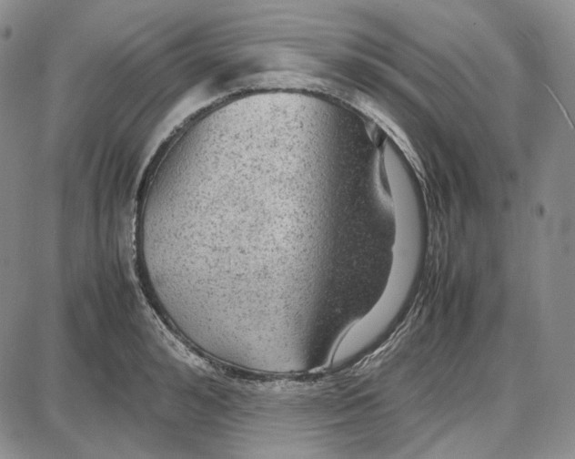 X0000087640992200705241235