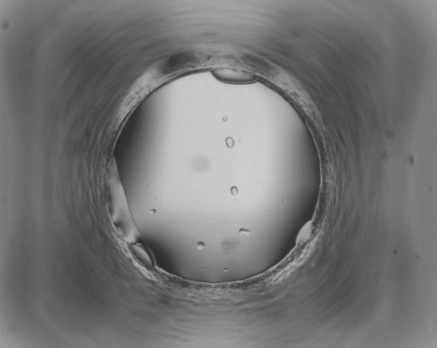 X0000087640993200705241235