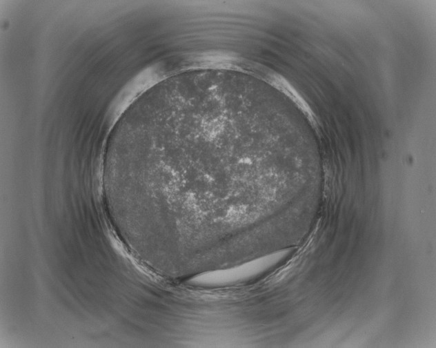 X0000087640994200705241235