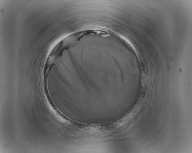 X0000087640995200705241235