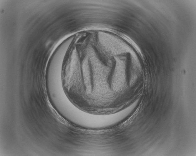 X0000087640996200705241235