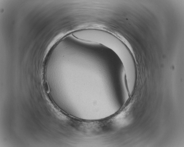 X0000087640997200705241235