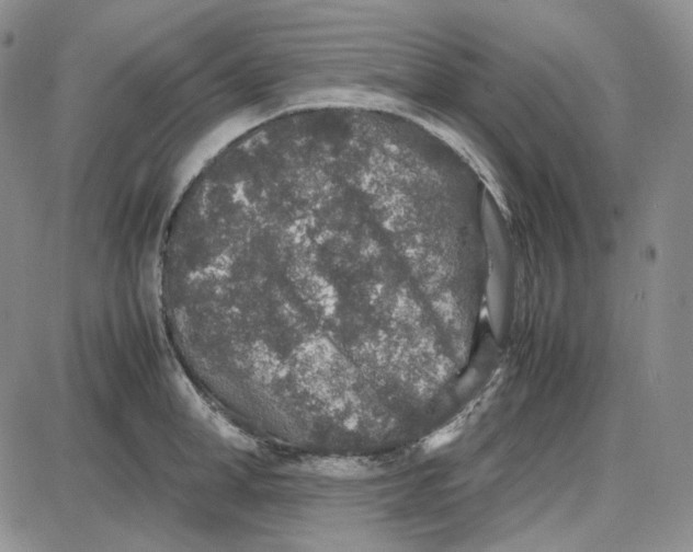 X0000087640998200705241235