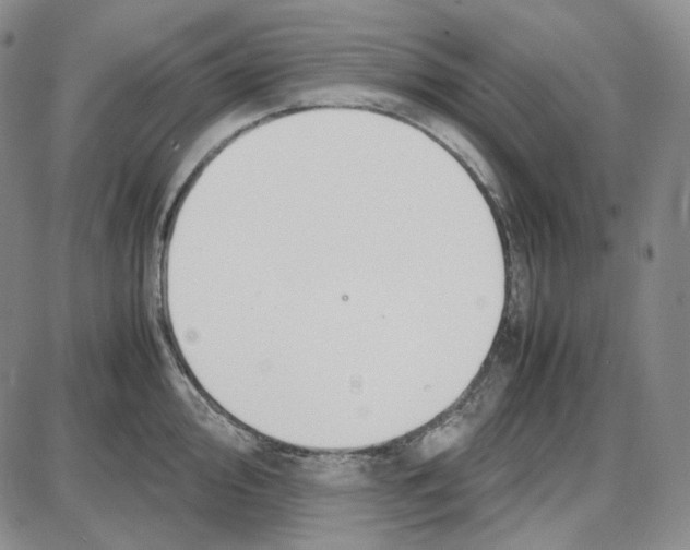 X0000087641000200705241235