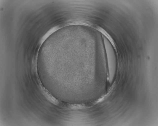 X0000087641002200705241235