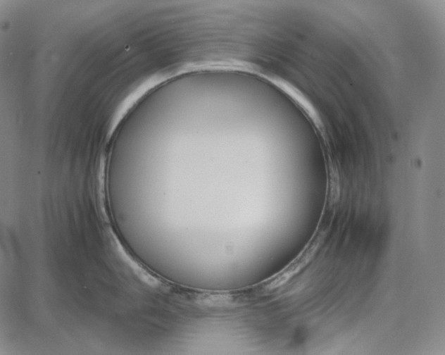 X0000087641006200705241235