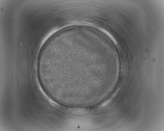 X0000087641007200705241235